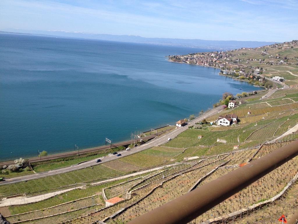 Magie Du Leman Panzió Blonay Kültér fotó